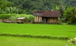 Vietnamský venkov (foto: Petra Vymětalíková)