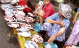 Hanojský rybí trh (foto: Petra Vymětalíková)